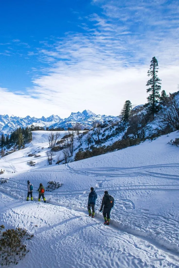 Shimla Kullu Manali Holiday Trip Packages For Chennai Bangalore Coimbatore Family & Honeymoon Couples